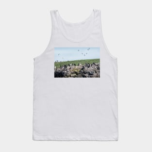 Puffins colony on the Farne islands, Northumberland, UK Tank Top